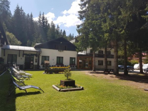 Hotels in Toblach